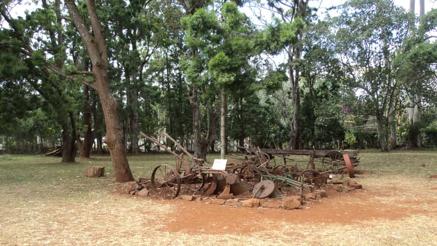 Giraffe Center and Karen Blixen Museum Tour from Nairobi - What to bring and what to leave behind
