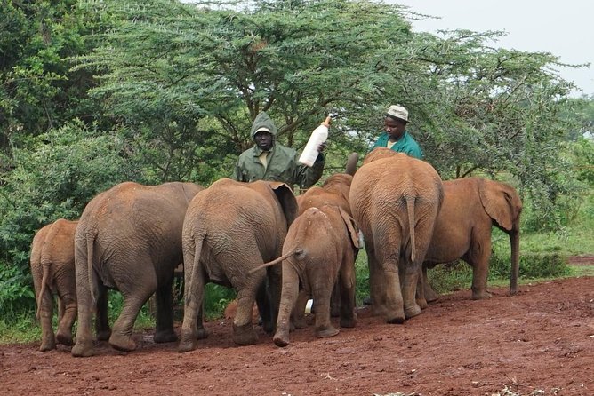 Giraffe center, Elephant Orphanage and Beads Center - A working bead and pottery center after the animals