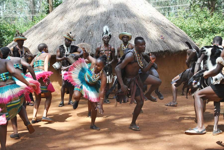 Giraffe Center, Elephant Orphanage and Bomas of Kenya Tour - Guides, Vehicles, and Time on the Road