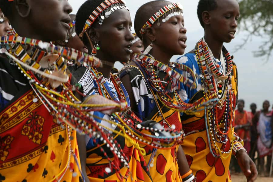 Giraffe Center, Elephant Orphanage and Bomas of Kenya Tour - Who Should Book This Experience?