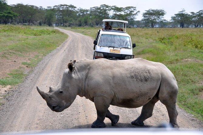 Giraffe Center, Elephant Orphanage and Nairobi National Park Day Tour Nairobi - Who should book this Nairobi day tour?