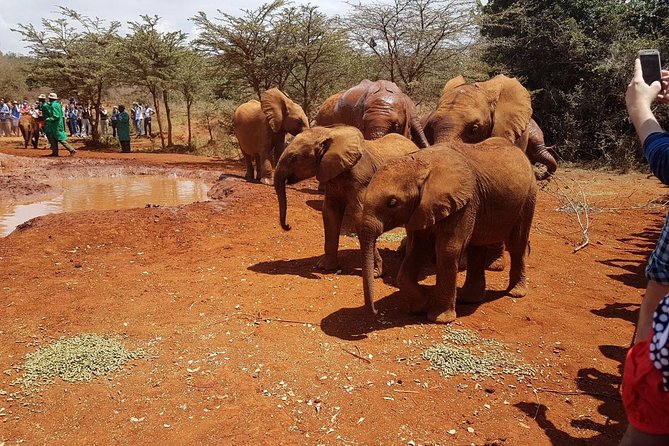 Giraffe Center & Elephant Orphanage Guided Day Tour From Nairobi - Kazuri Beads Factory: the shopping stop