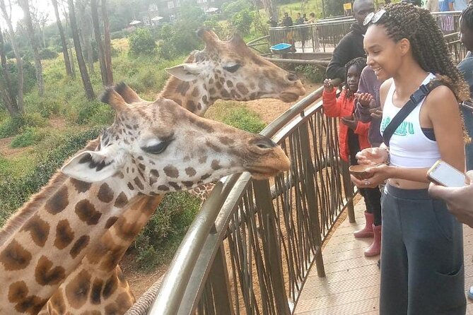 Giraffe Centre and Bomas of Kenya from Nairobi - Transport, timing, and the pickup detail to clarify
