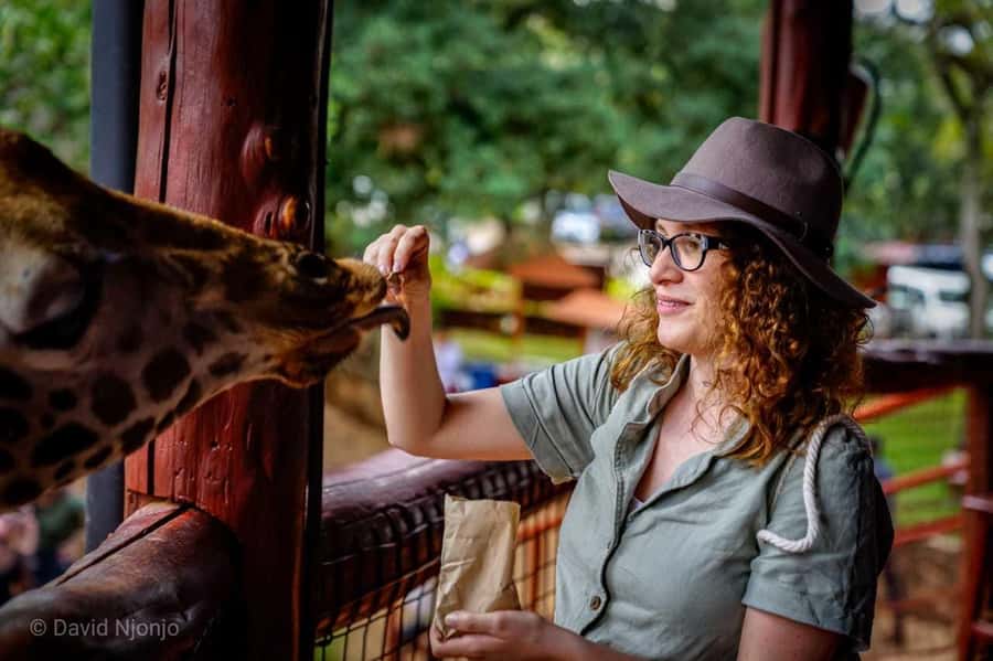 Giraffe, Elephant Orphanage - Hearing each elephant’s rescue story