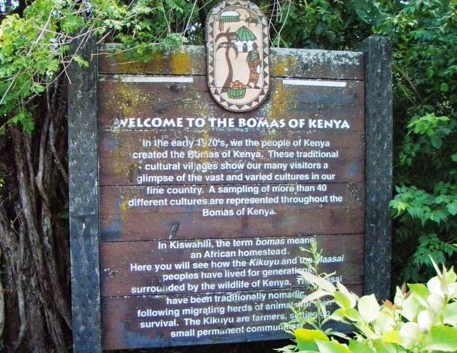Giraffe, Elephant Orphanage - How the schedule works from 9:30 a.m.