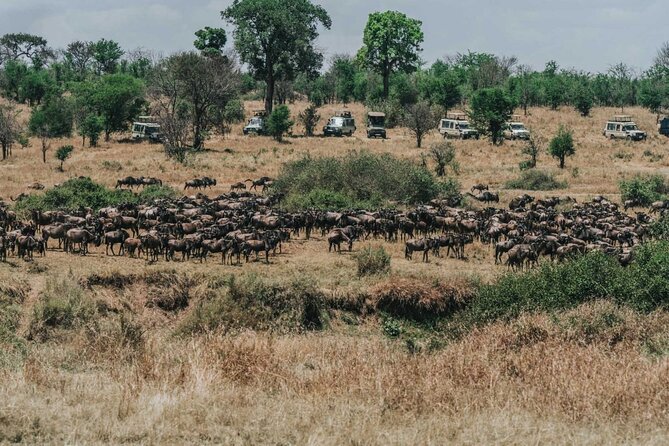 Great Wildebeest Migration Safari in Masai Mara - Day 1: From the Rift Valley view to the evening Mara