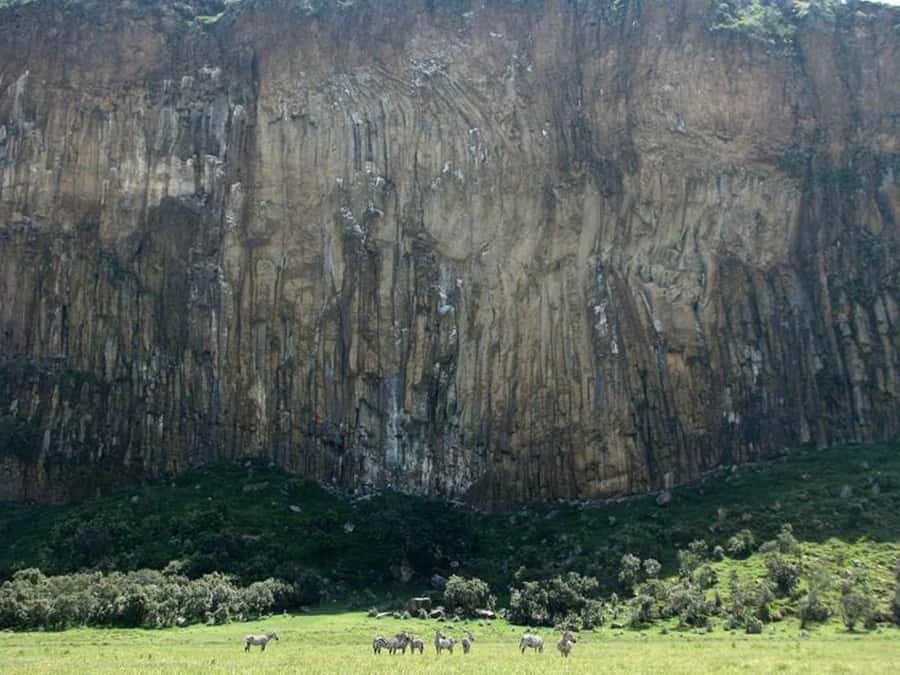 Group joining day tour to Hell's Gate and Lake Naivasha - Walking with animals at Crescent Island