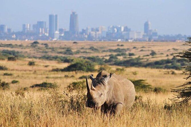 Group Joining Nairobi National Park and Giraffe Center - Is $120 per person a fair total?