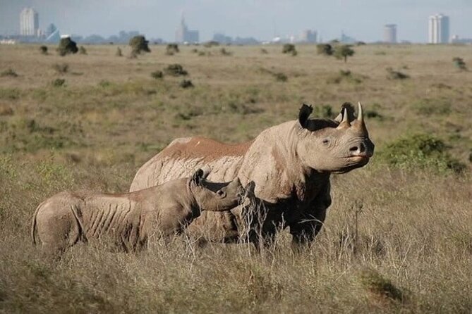 Group Joining Nairobi National Park and Giraffe Center - Who will enjoy this experience most?
