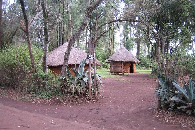 Half-Day Cultural Tour to Bomas of Kenya in Nairobi - Animals and the wider setting