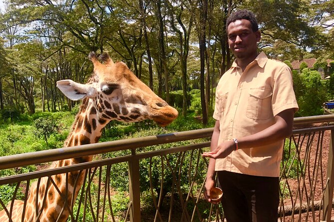 Half Day Excursion Tour in Nairobi - What the named guides add