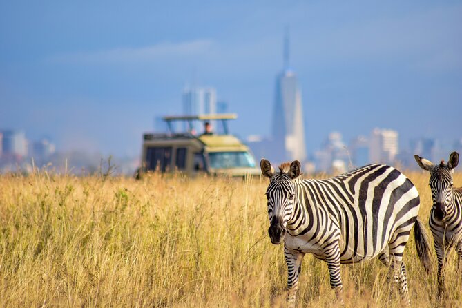 Half Day Nairobi National park - Is $290 per person fair value?