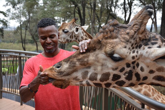 Half-Day Nairobi National Park and Maasai Market with Pick up - Timing, pickup, and practical details
