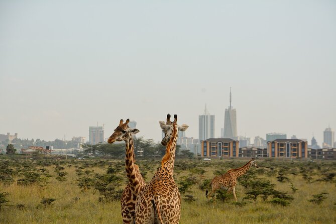 Half-Day Nairobi National Park and Maasai Market with Pick up - Riding in the open-roof Landcruiser