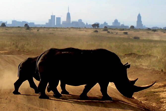 Half-Day Nairobi National Park Private Tour with admission - Four hours under the pop-up roof