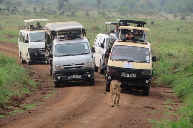 Half-Day Nairobi National Park Safari from Nairobi with Free Pickup - The guides are a major part of the experience