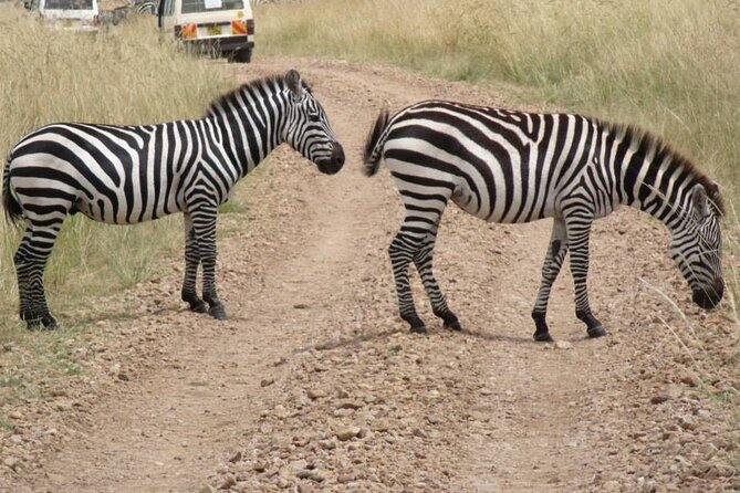 Half-Day Nairobi National Park Tour from Nairobi - Key points at a glance