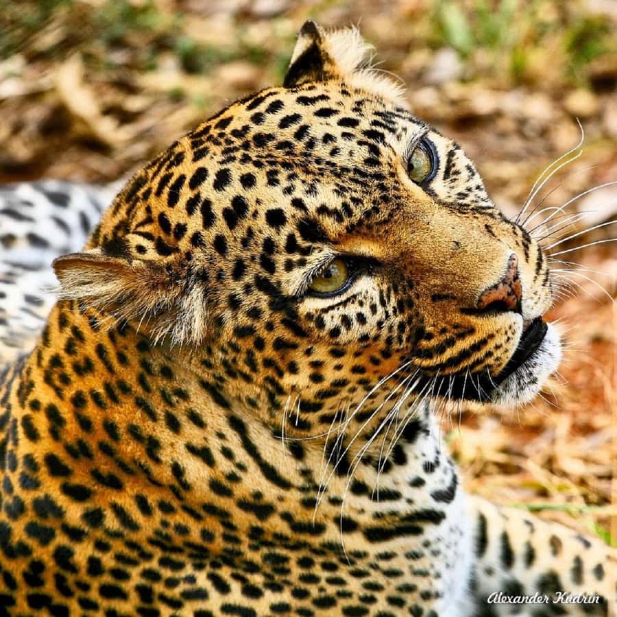 Half day Nairobi National Park with free pick up - The return through the park and back to your hotel