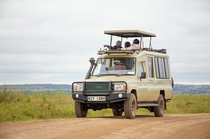 Half-Day Private Guided Safari Tour to Nairobi National Park - A genuine safari beside Nairobi