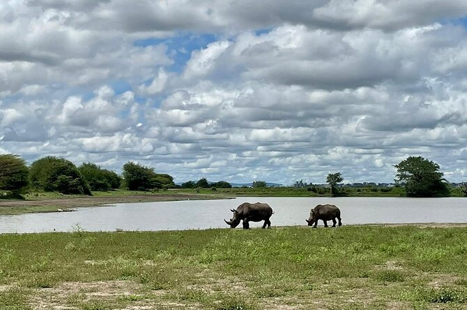 Half Day Private Tour in Nairobi National Park with Admission - Coffee and gift shop after the game drive