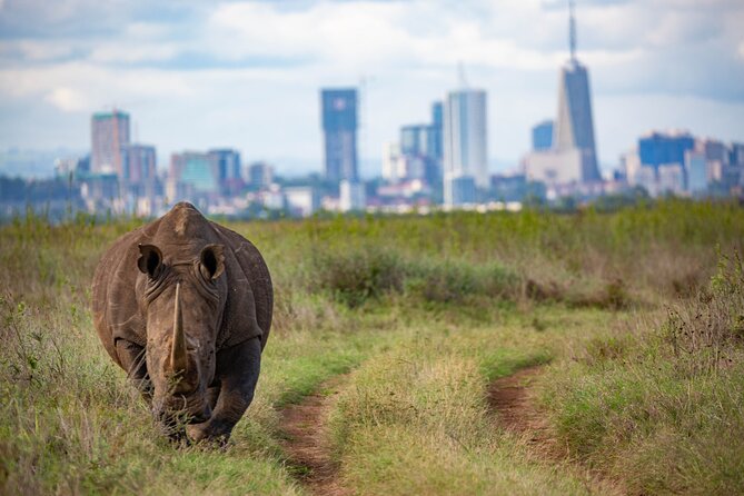 Half Day Safari at Nairobi National Park - Tony and Anthony make the difference