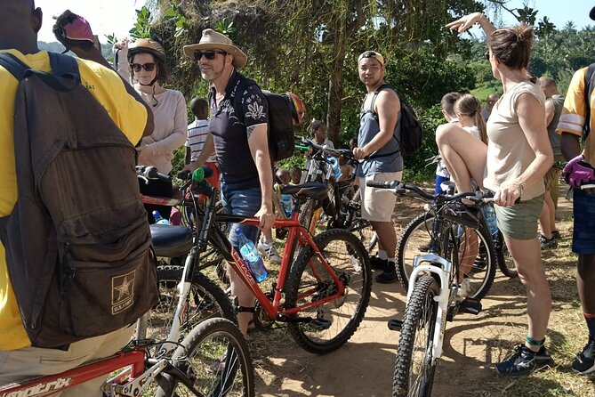 Half-Day Scenic Bike Tour - Equipment, comfort, and what to pack