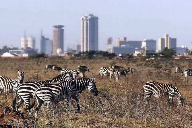 Half Day Tour To Nairobi National Park and Giraffe Center - Key points at a glance