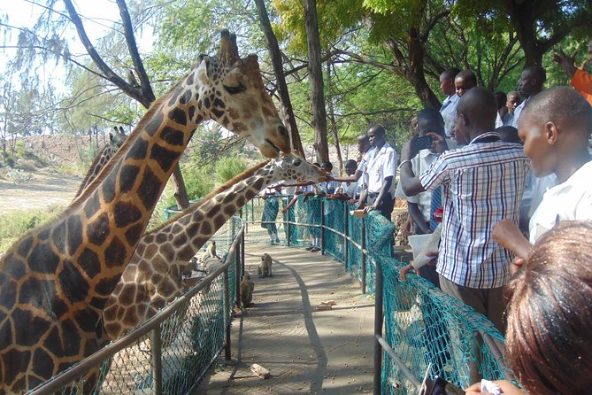 Haller Park Half-Day Tour from Mombasa - From abandoned quarry to Haller Park