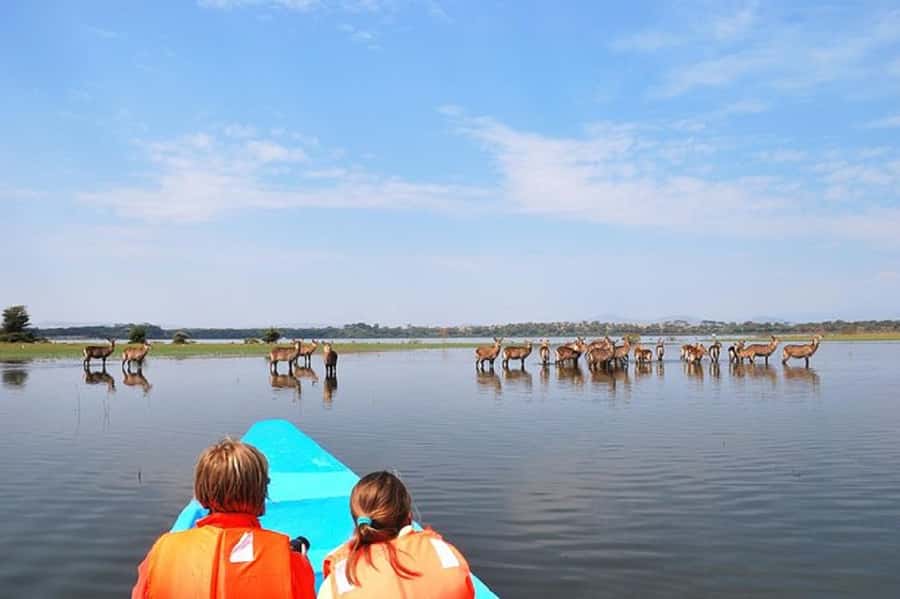 HELL'S GATE AND LAKE NAIVASHA BOAT RIDE FROM NAIROBI. - Key points to know before booking