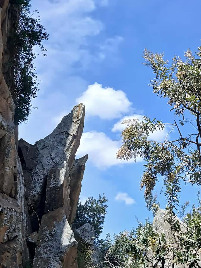 Hell's Gate Bike Ride & Crescent Island Boat Ride Experience - Cycling Past Wildlife in Hell’s Gate National Park