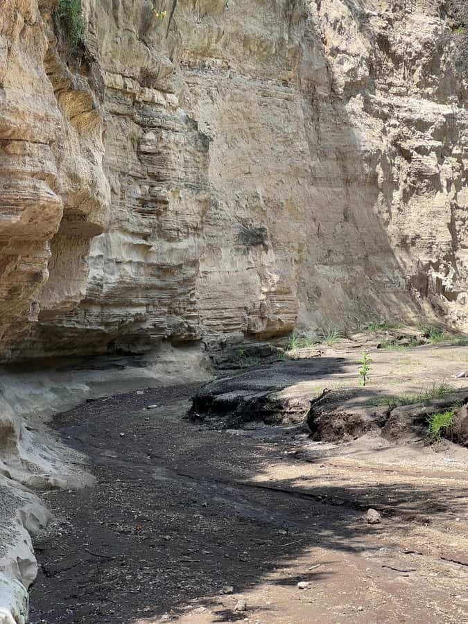 Hell's Gate & Lake Naivasha: Bike Tour, Hike & Boat Ride - The real cost of this Kenyan day
