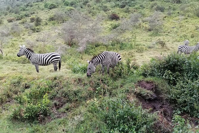 Hell's Gate National Park Private Bike Tour from Nairobi - The gorge walk at 11am