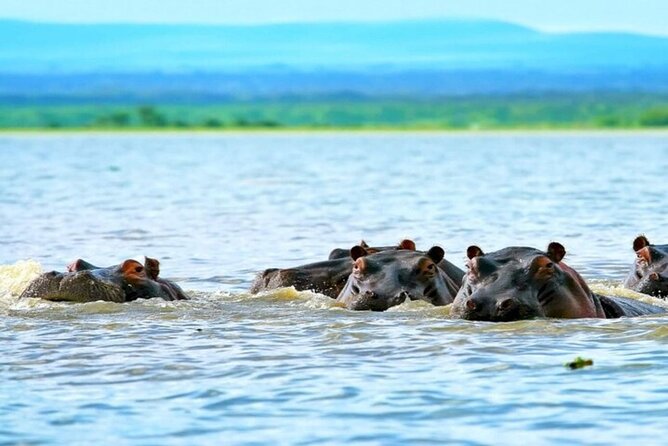 Hell's Gate Park and Lake Naivasha Day Tour - Walking the gorges and caves