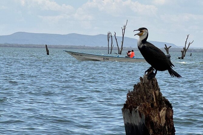 Hell's Gate Park and Lake Naivasha Day Tour - Cycling through Hell’s Gate National Park