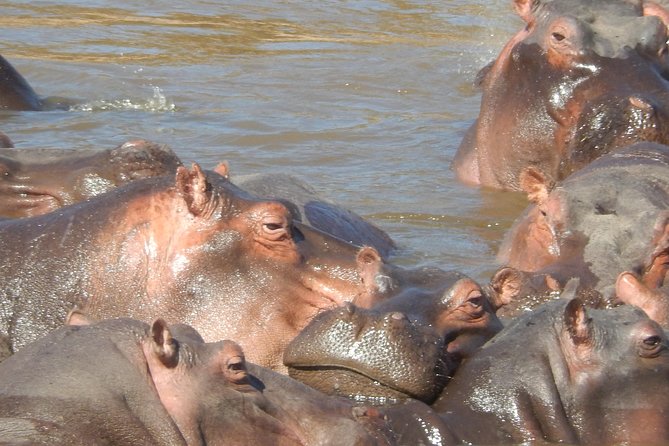Hells Gate Cycling park & Lake Naivasha Boat tour - The gorge walk when conditions permit