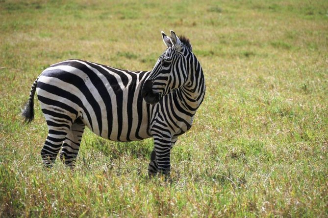 Hells Gate Excursion in Naivasha - The Lake Naivasha addition