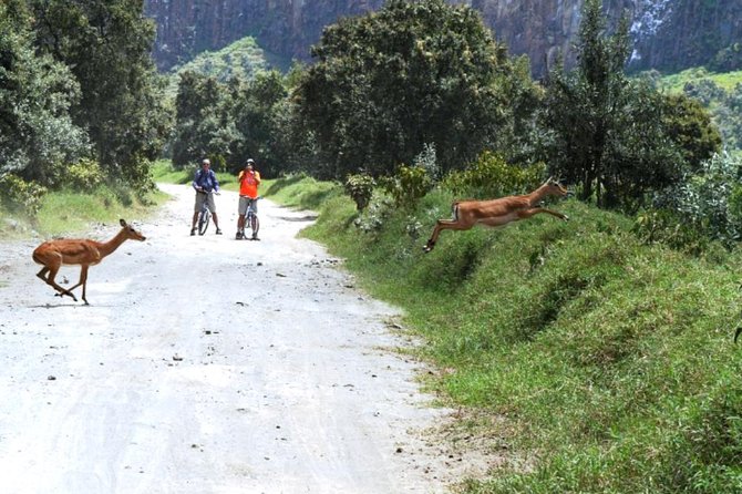 Hells Gate Excursion in Naivasha - A day shaped by Kenya’s scenery and culture