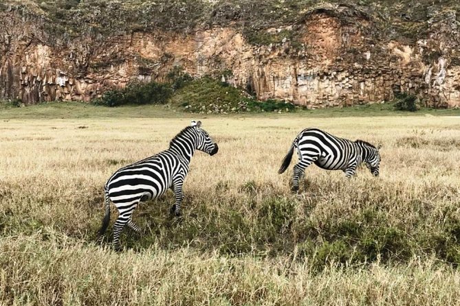 Hells Gate Excursion in Naivasha - What the $95 price really covers