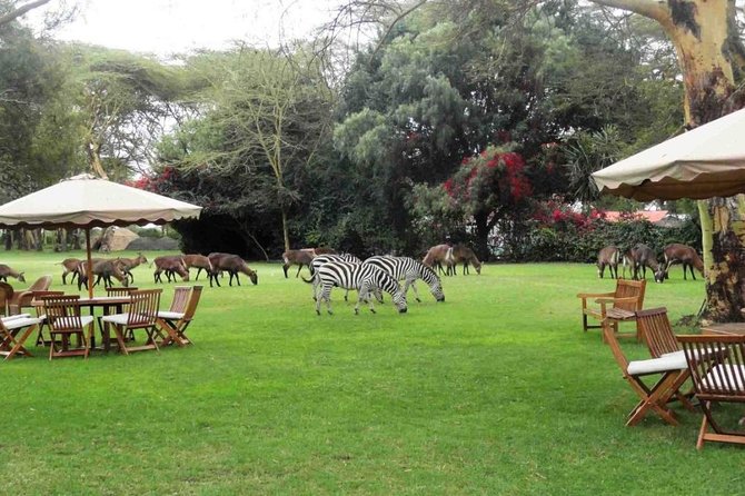 Hells Gate Excursion in Naivasha - Strengths worth paying attention to