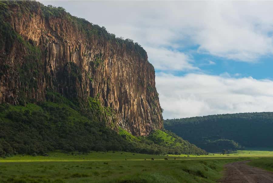 Hells Gate National Park and Lake Naivasha Day Tour - Cycling where safari rules usually keep you inside a vehicle