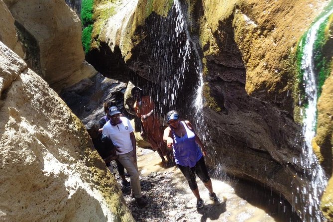 Hells Gate National Park Day Trip - Choosing between a game drive, a walk, and a bicycle