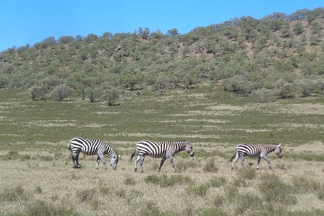 Hells Gate National Park Day Trip - Local guides and the private-tour advantage