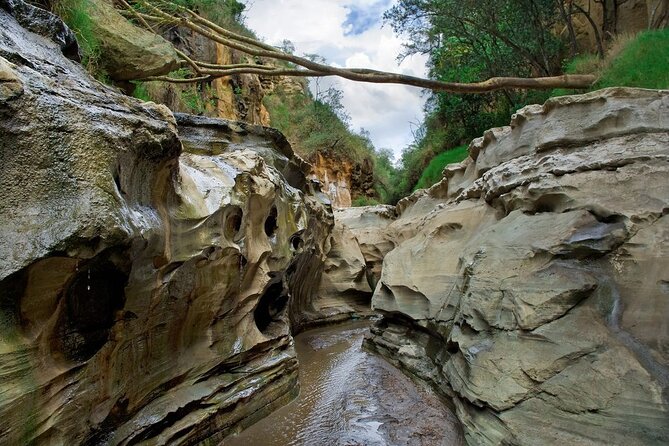 Hells Gate National Park & Lake Naivasha Day Trip from Nairobi - The Nairobi pickup and Great Rift Valley stop
