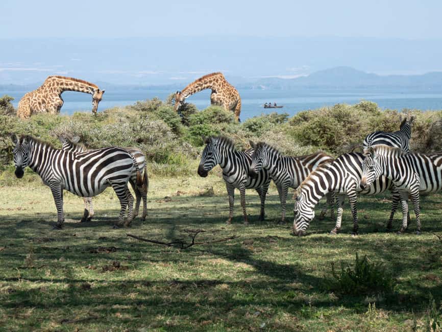 Hellsgate and Lake Naivasha Day Trip from Nairobi - Practical ways to make the day better