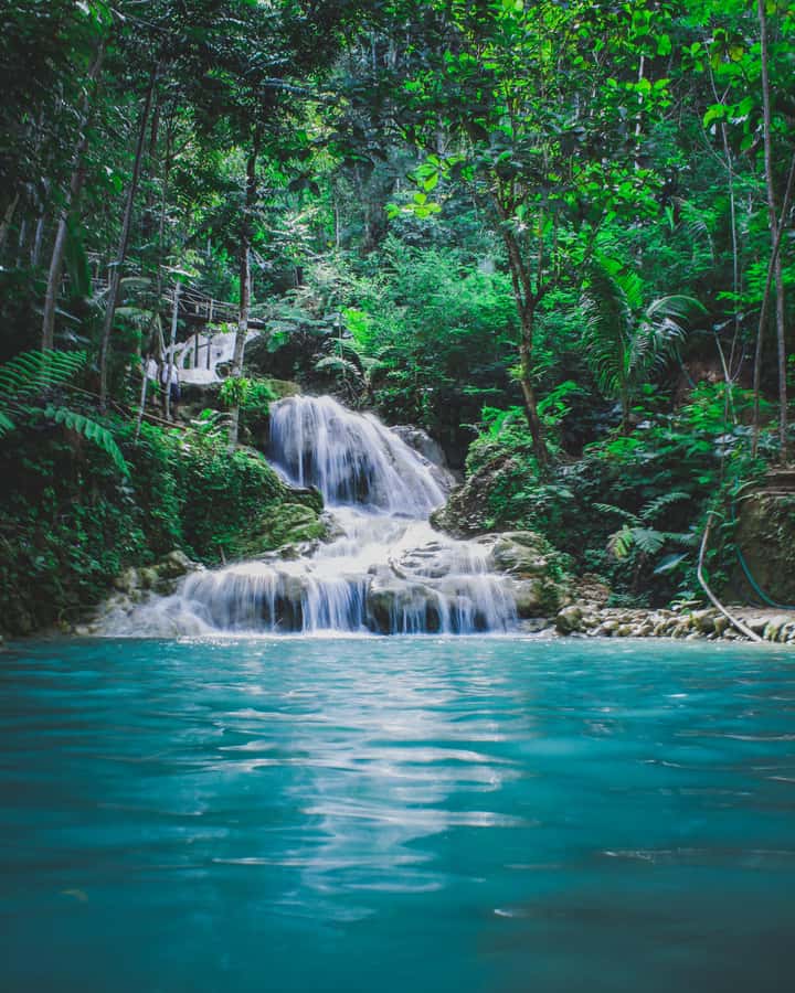 Hike in The Karura Forest - Key points at a glance