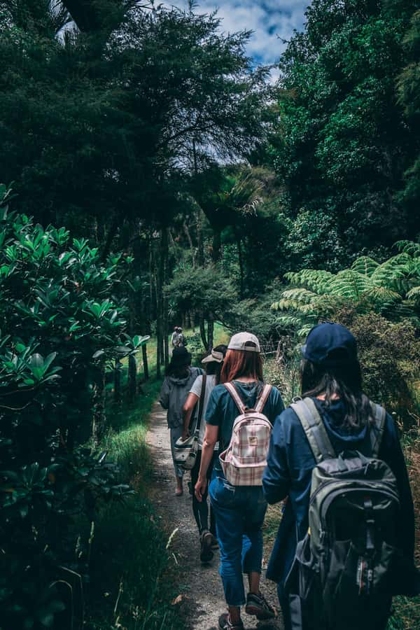 Hike in The Karura Forest - Why Karura Forest is worth your Nairobi time
