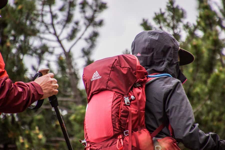 Hike in The Karura Forest - Three hours on leafy forest trails