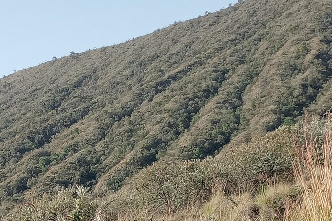 Hiking Trip to Mount Longonot National Park & Lake Naivasha - Lake Naivasha changes the pace