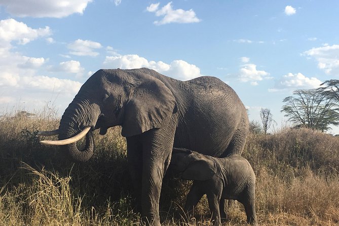 Introducing Kenya Safari Package - Lake Naivasha Adds Water and Birdlife