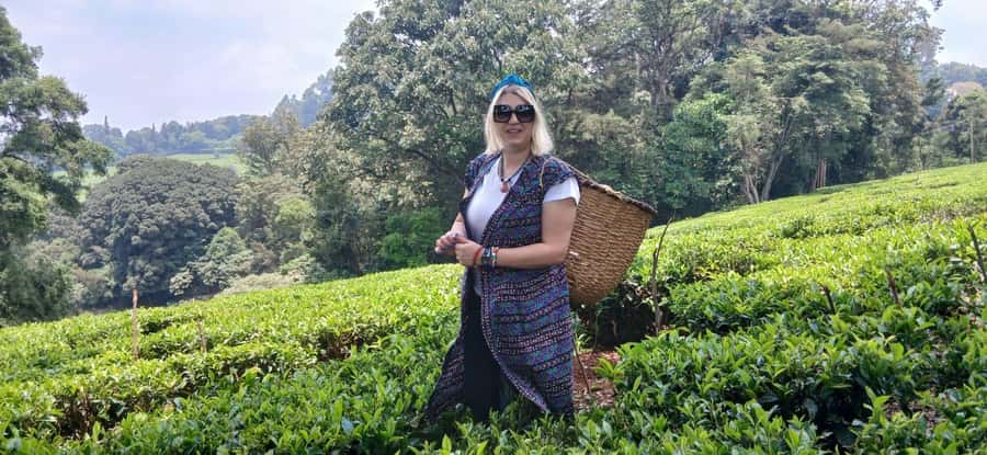 Kaimbethu tea farm tour and lunch package - From Nairobi hotels to a quiet tea estate